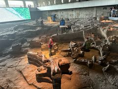 -自贡恐龙博物馆