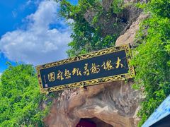 -大槐树寻根祭祖园