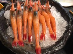 -真剑日本料理·铁板烧(贵州路店)
