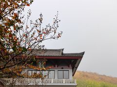 -句容茅山景区