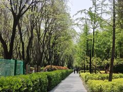 -唐城墙遗址公园