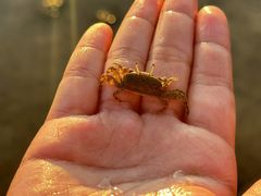 -东戴河风景区-止锚湾