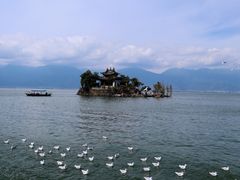 -大理洱海