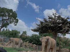 -上海野生动物园
