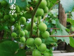 -绿岛公园(滨海新区)