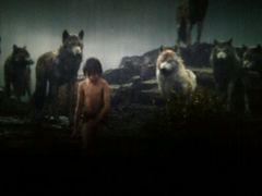 -万达影城(潍坊万达广场IMAX店)