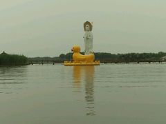 android_upload_pic-白洋淀景区