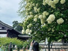 -常熟方塔园