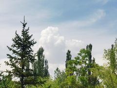 -鄂尔多斯青铜器博物馆