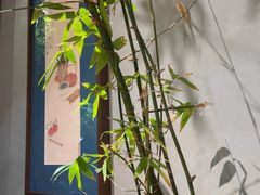 -本处·素食·融合料理(南油店)