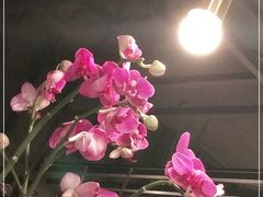 -LANN I 蘭 泰式古法按摩(徐家汇城开YOYO店)