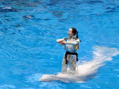-海合安成都极地海洋公园