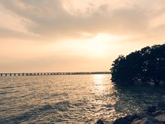 -宝安西湾红树林湿地公园