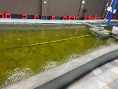 -光头佬室内钓虾场·烧烤·团建·亲子(中山八路店)