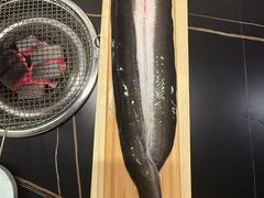 -银座苑烧肉酒场·烤活鳗(仙霞路店)
