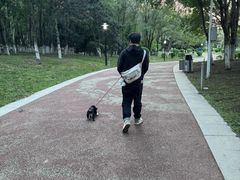 -莫子山公园