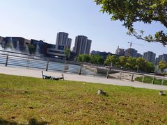 -映月湖中央公园