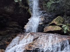 -墨尔本皇家植物园