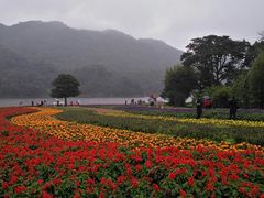 -美人谷景区
