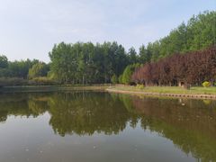 -仁和公园(顺义区)
