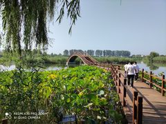 -白洋淀景区