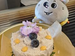 -野草莓自由市场