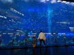 -成都浩海立方海洋公园