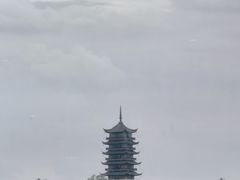 -龙庭华宴·粤菜·早茶