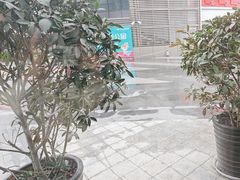 -徐记海鲜(梅溪新天地店)