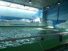 -秦皇岛乐岛海洋王国