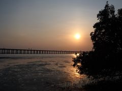 -宝安西湾红树林湿地公园