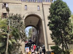 -武汉大学-樱园