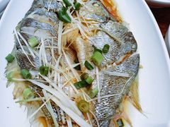 -山海菜馆·海肠捞饭·青岛菜(栈桥店)