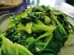 鸡毛菜-威海渔村(静安旗舰店)