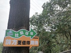 -广州市帽峰山景区