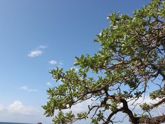 -鹅銮鼻公园