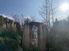 -白鹭湾湿地公园