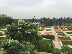 -紫颐香薰山谷景区