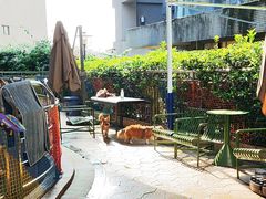 -帕帕拉兹宠物(亚洲旗舰店)