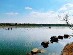 -上海海湾国家森林公园