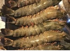 -熊出没日本烧肉放题
