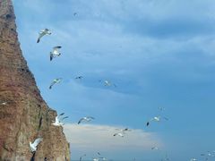 -长岛南北长山旅游景区