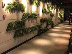 -威尔仕健身·游泳(中港汇店)