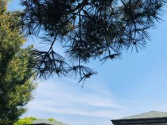 -白塘生态植物园