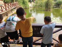 -武汉紫薇都市田园