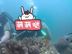 -班拉雅潜水度假村