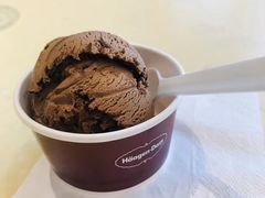 -哈根达斯(石家庄北国店)
