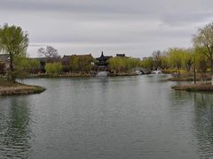 -黄海国家森林公园