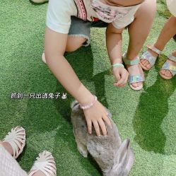 -酷嗒动物文化乐园(cutezoo西溪乐天城店)