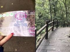 -西岭雪山大飞水景区